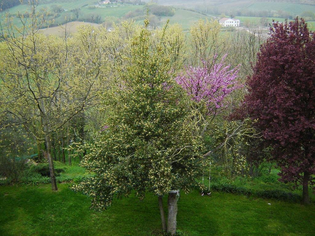 Casale Del Monsignore 스폴레토 외부 사진